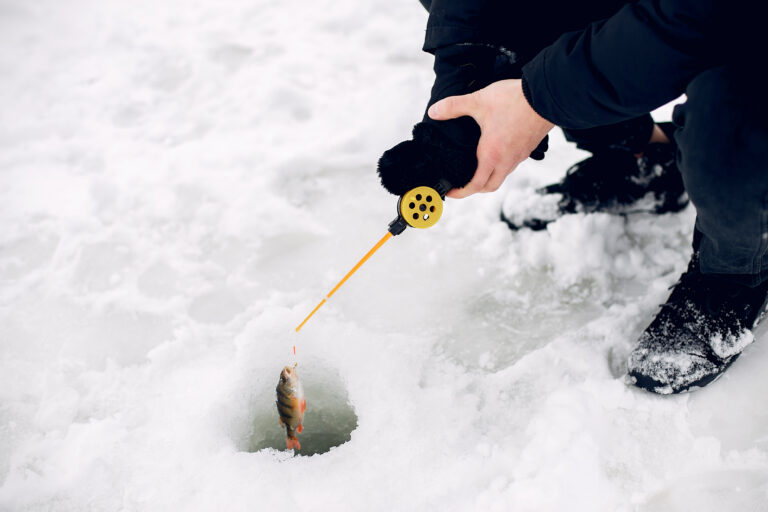 Iceporncasting