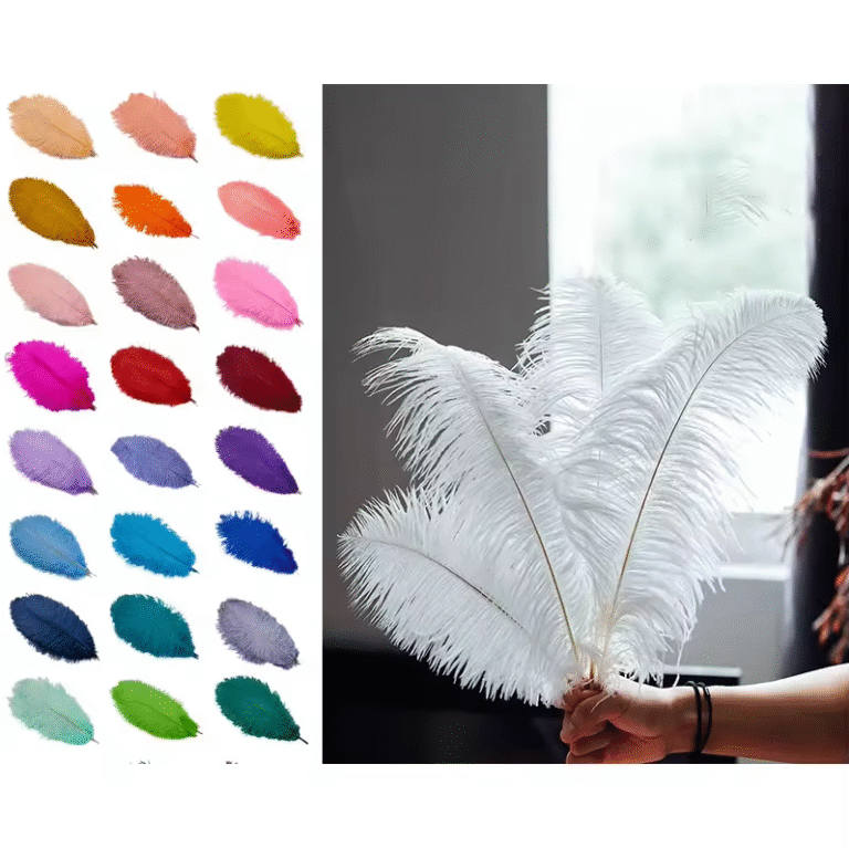 Ostrich Feathers