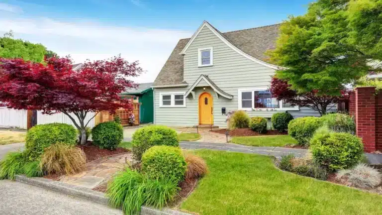 How to Choose the Right Trees for Sale for Your Landscaping Needs Right Trees for Sale for Your Landscaping